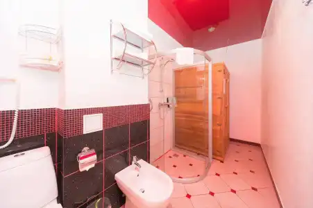 Rija Irina - 9
