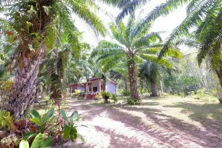 Mada Lanta Mai Keaw - 11