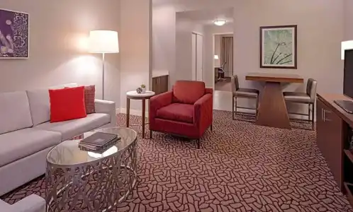 Hilton Garden Inn Downtown Dallas - 79