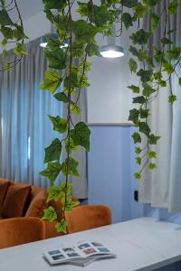 Acro Urban Suites - 83