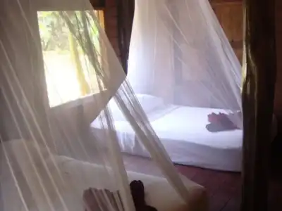 Khao Sok Silver Cliff Resort - 1