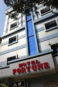 Fortune - 17