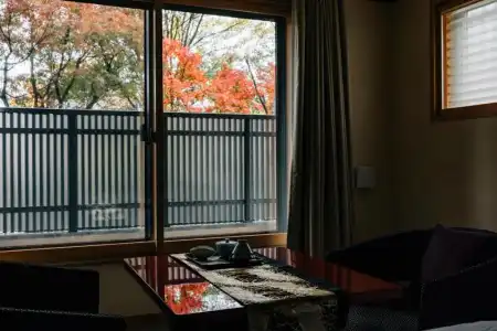 ALZA KYOTO - 22