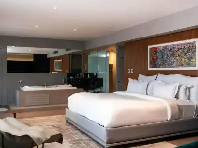 Pullman Sao Paulo Ibirapuera - 152