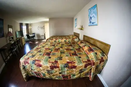 Hollywood La Brea Inn - 46