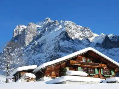 Mountain Chalet With Garden & Parking in Grindelwald - 4