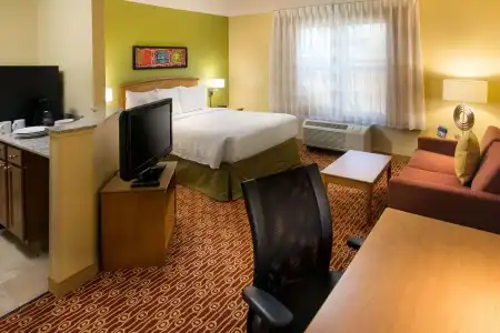 Sonesta Simply Suites Phoenix Scottsdale - 5
