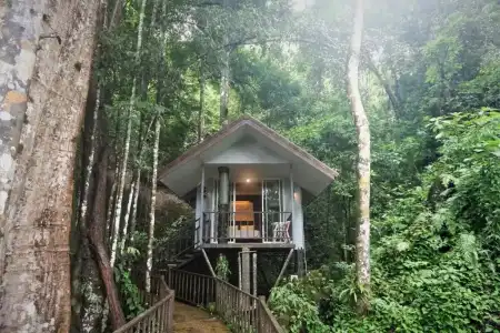 Rock And Treehouse Resort - 13