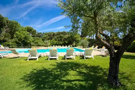 Panoramic - 30