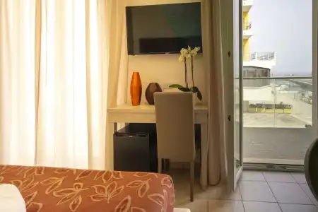 Stella d'Oro - 336