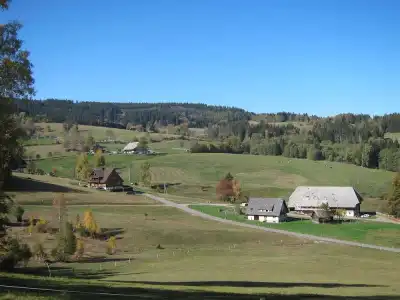 Bären Titisee - 14