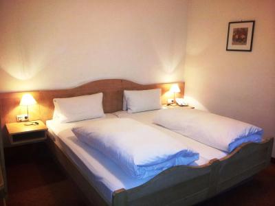 AltstadtGrauer Wolf - 2