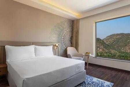 DoubleTree by Hilton Jaipur Amer - 44