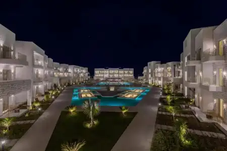 Tanoak - 5
