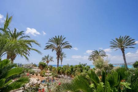 Vrachia Beach & Suites - Adults Only - 169