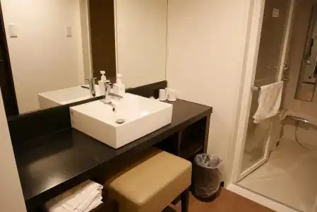Sotetsu Fresa Inn Yokohama Sakuragi-Cho - 15