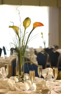 DoubleTree by Hilton Greensboro - 20