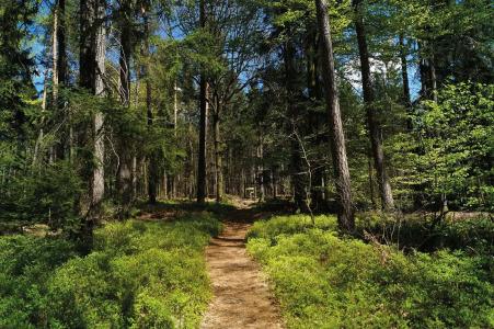 City Mark Michelstadt - 7