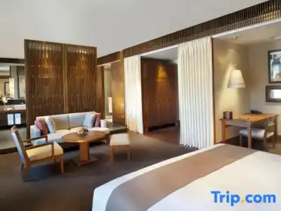 The St. Regis Lhasa Resort - 116
