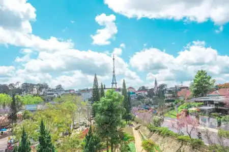 Nice Dream Dalat - 86