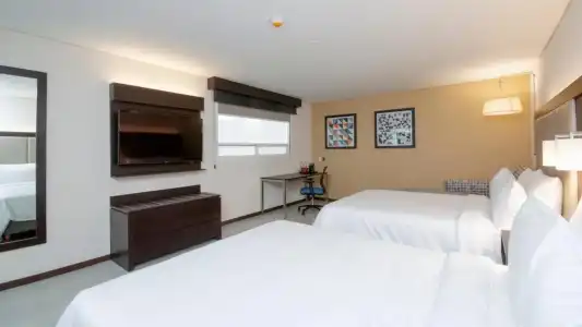 Holiday Inn Express Mexico Basilica by IHG - 58