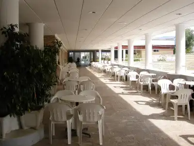 Caballo de Oro - 9