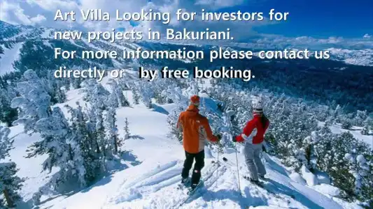 ArtVilla Bakuriani - 81