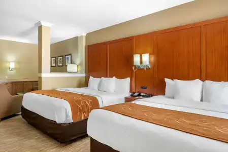 Comfort Suites University - 3
