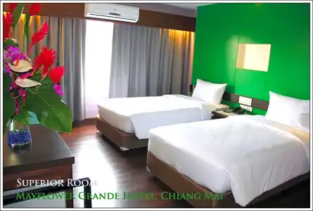 Mayflower Grande Chiang Mai - 48