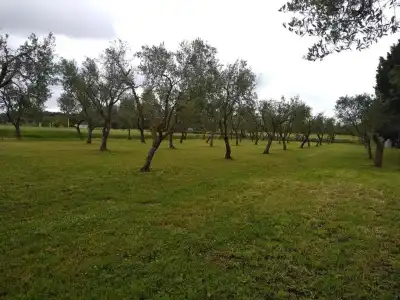 B&B Terra Serena - 21