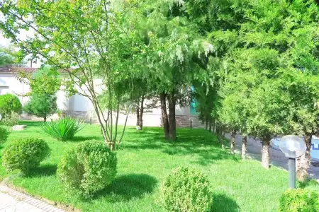 VIARDO - 34