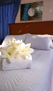 Elegance - 44