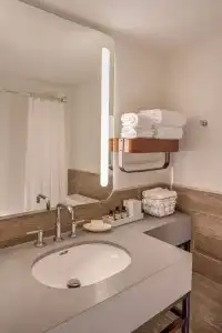 The Wildbirch - JDV by Hyatt - 31