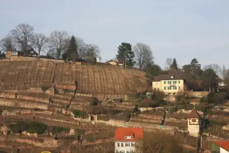Am Schelztor - 18