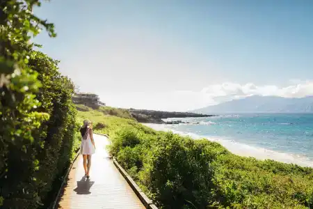 The Ritz-Carlton Maui, Kapalua - 29