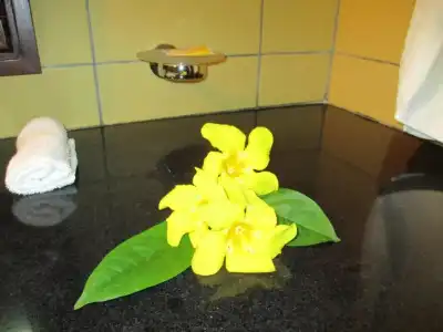 Chalets Bougainville - 102