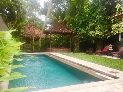 d'Omah Yogya - 17