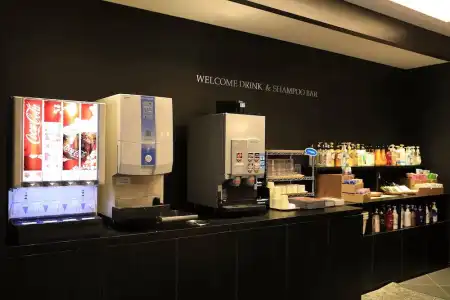 Leon Hamamatsu - 10