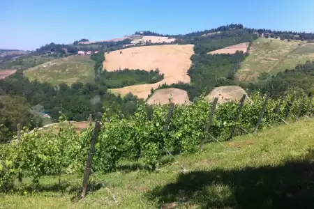 Agriturismo Ben Ti Voglio - 16