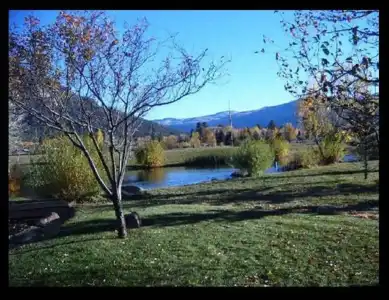 Apple Orchard Inn - 6