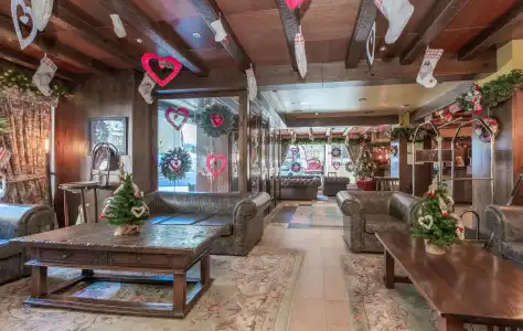 Ski Plaza & Wellness - 11