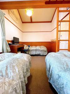 Hakuba Pension & Log Meteor - 178