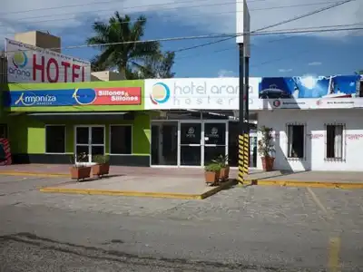 Arana Tonalá - 0