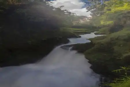 Peaceland - 2