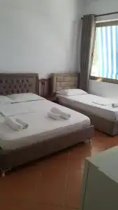 Lepenica - 30