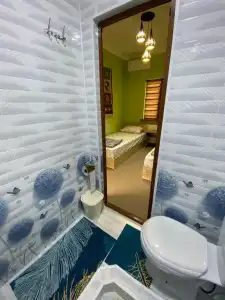 HAVAS Guest house - 66