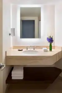 Sheraton Vancouver Wall Centre - 8