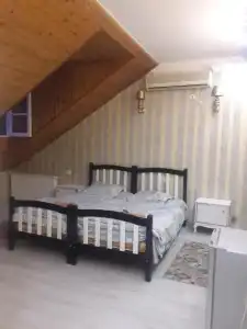 Daviti Tbilisi - 25