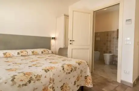 Rosa di Assisi - 37