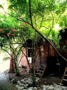 Sheriff Olympos Pension - 19